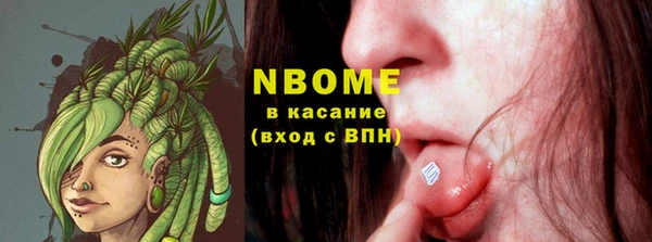 метадон Няндома