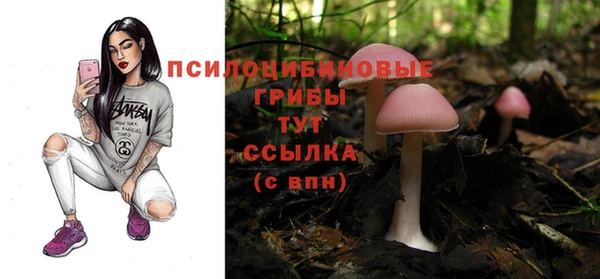 mix Новозыбков