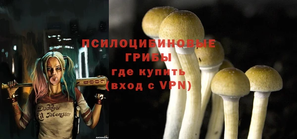 PSILOCYBIN Нягань
