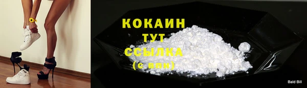 метадон Няндома