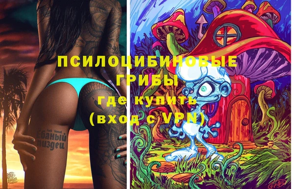 гашиш Новодвинск